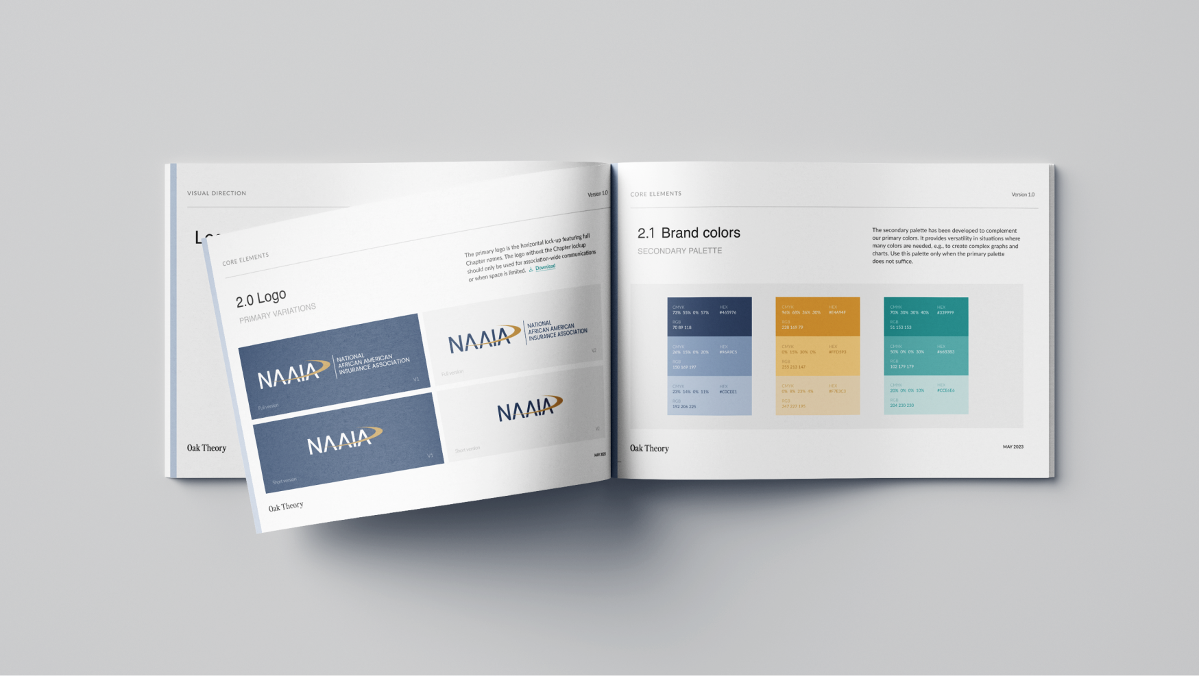 NAAIA brand identity and logo design before and after.