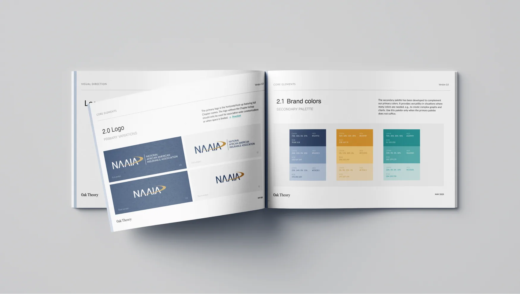 NAAIA brand identity and logo design before and after.