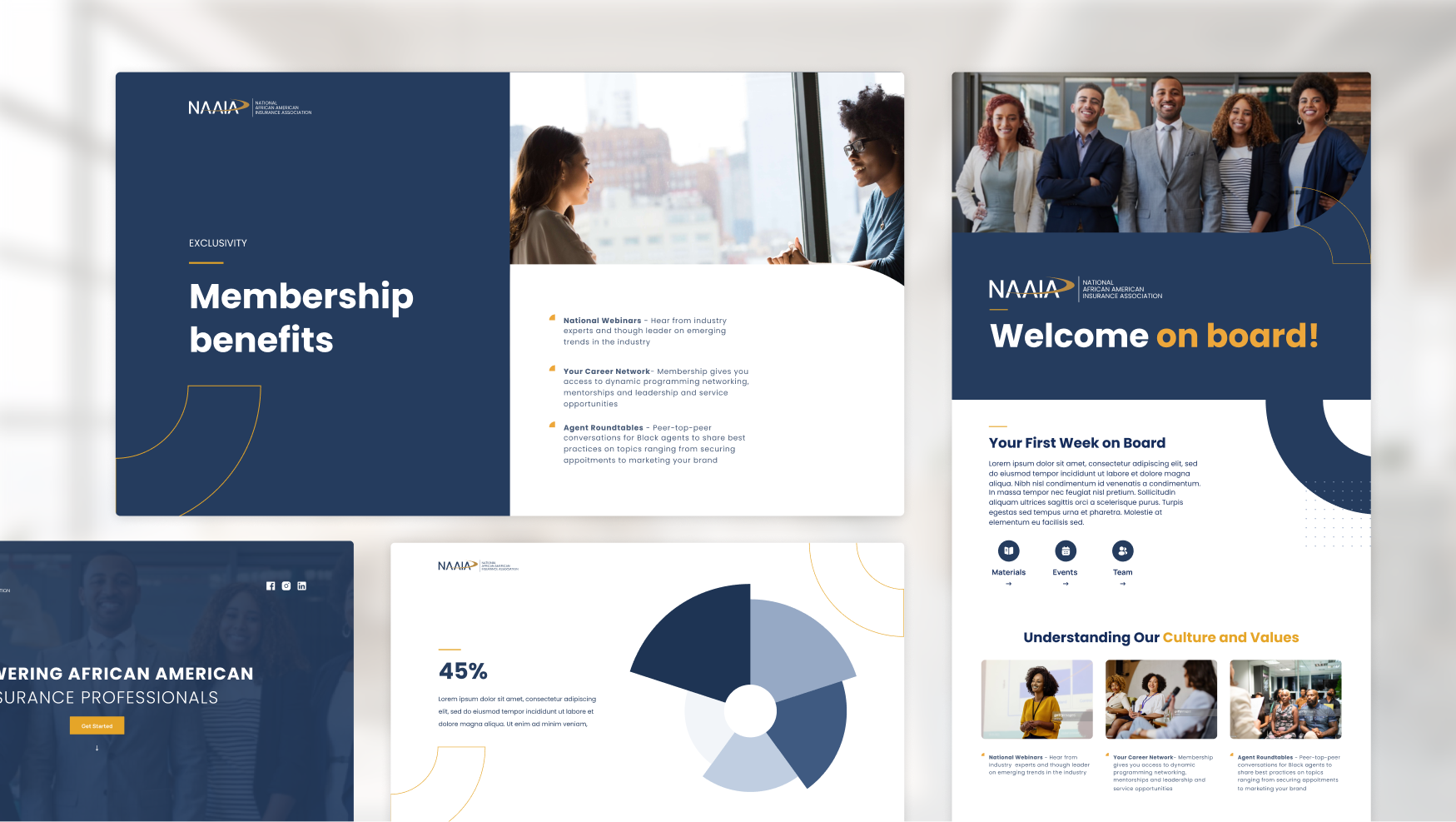 NAAIA marketing collateral mockups including membership decks and printed materials.