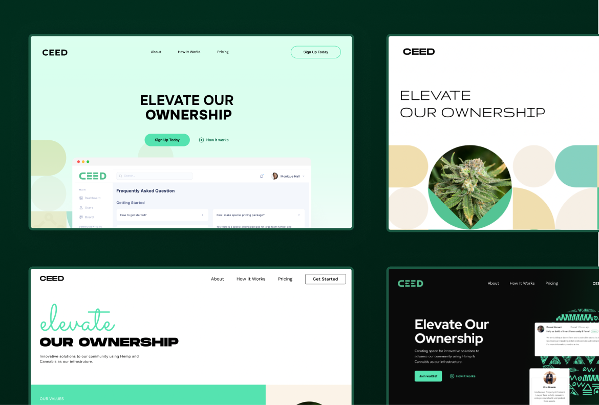 CEED landing page hero explorations across light and dark visual directions.