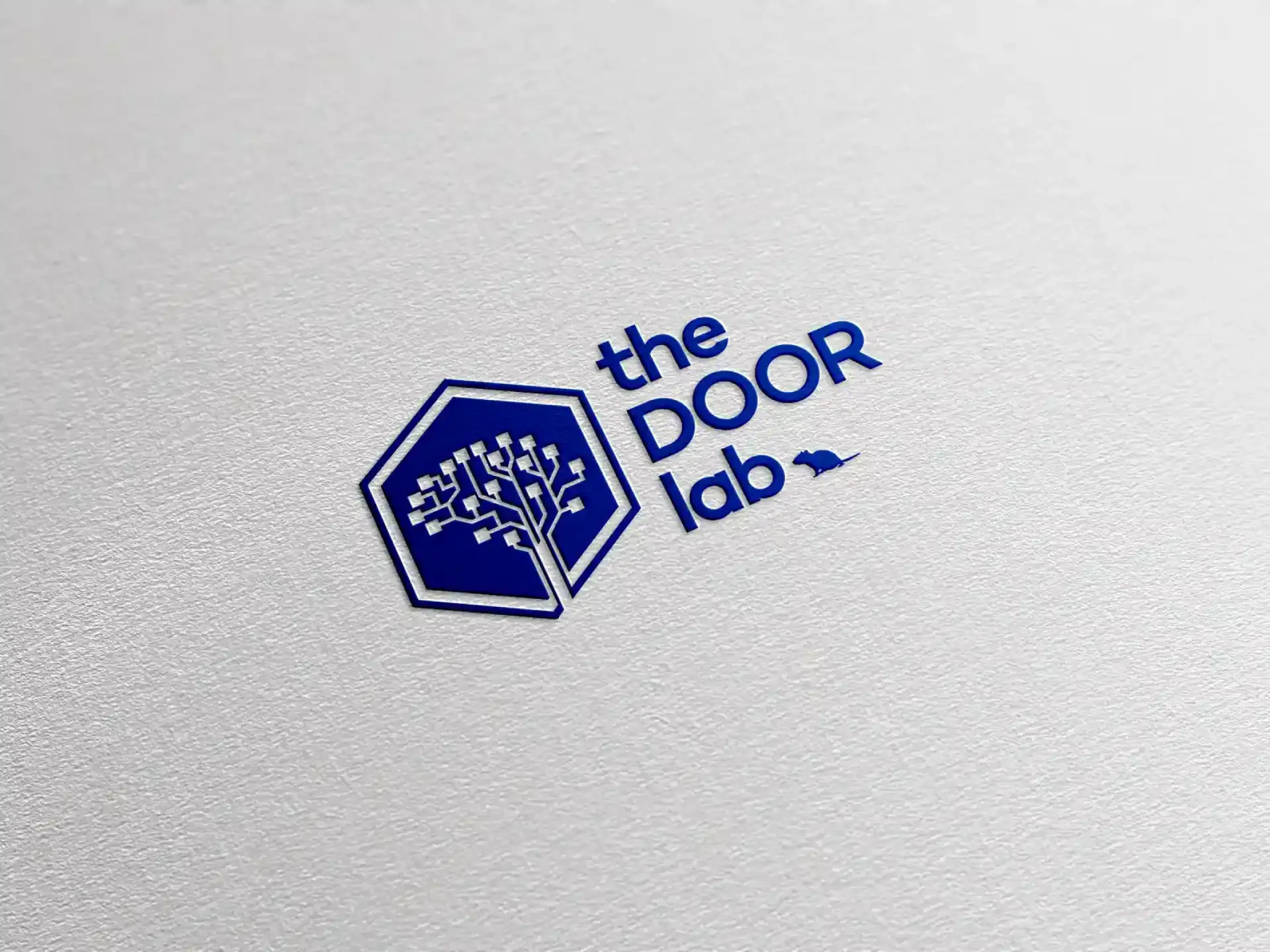 The DOOR Lab logotype letterpressed in blue on textured paper.